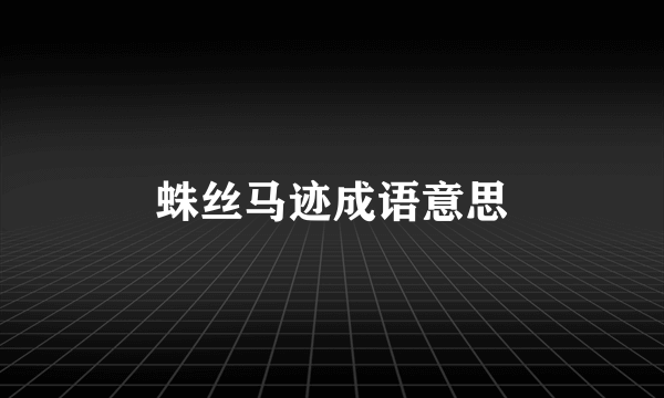 蛛丝马迹成语意思
