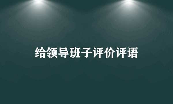 给领导班子评价评语