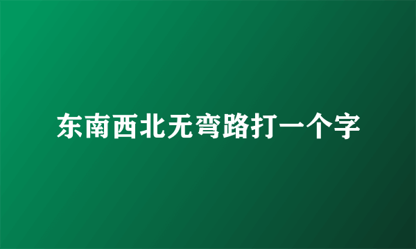 东南西北无弯路打一个字