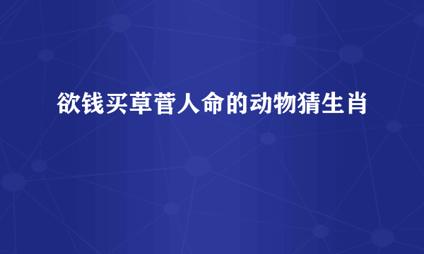 欲钱买草菅人命的动物猜生肖