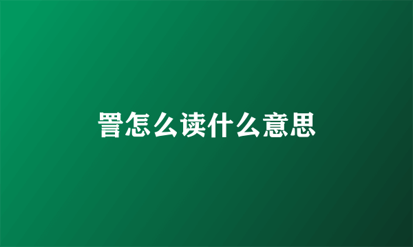 詈怎么读什么意思