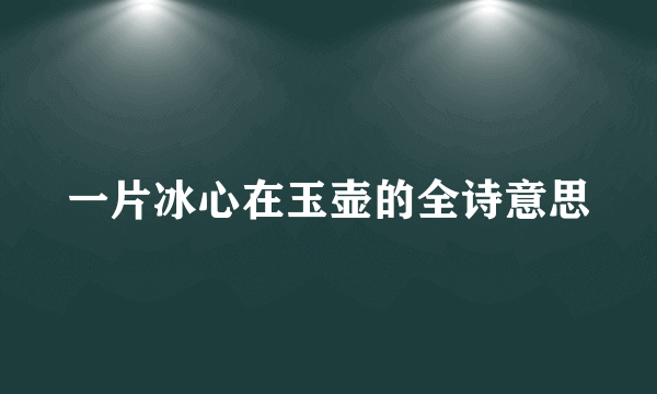 一片冰心在玉壶的全诗意思