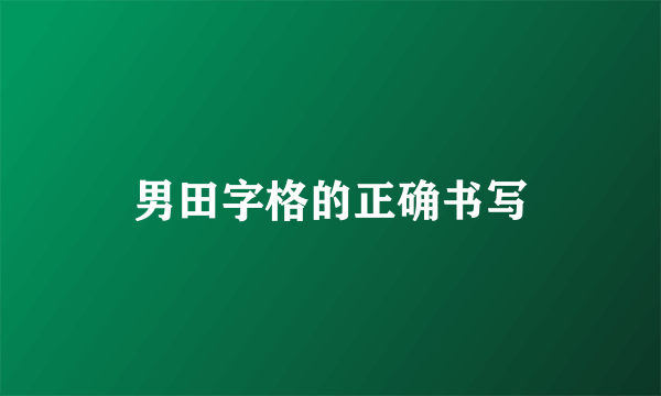 男田字格的正确书写