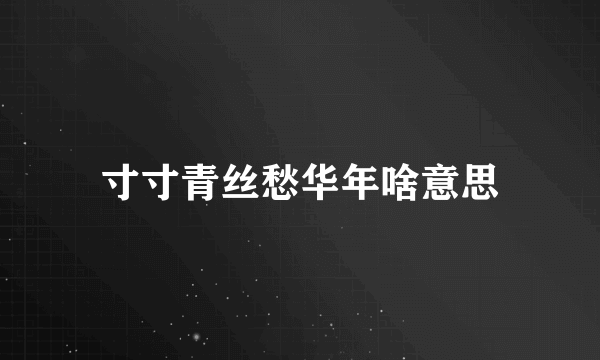 寸寸青丝愁华年啥意思