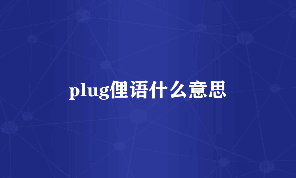 plug俚语什么意思
