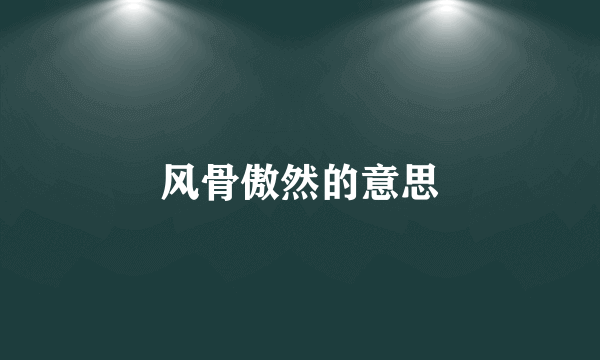 风骨傲然的意思