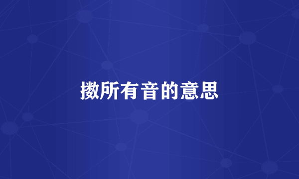 擞所有音的意思