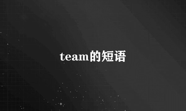 team的短语