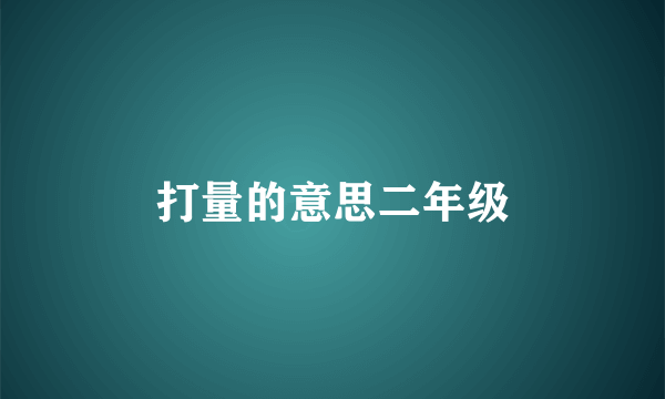 打量的意思二年级