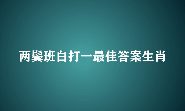 两鬓班白打一最佳答案生肖