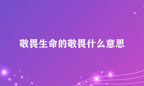 敬畏生命的敬畏什么意思