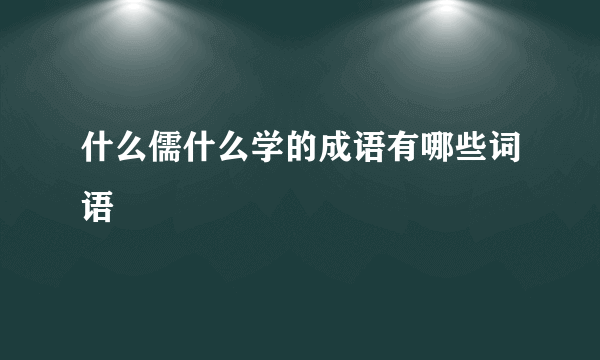 什么儒什么学的成语有哪些词语