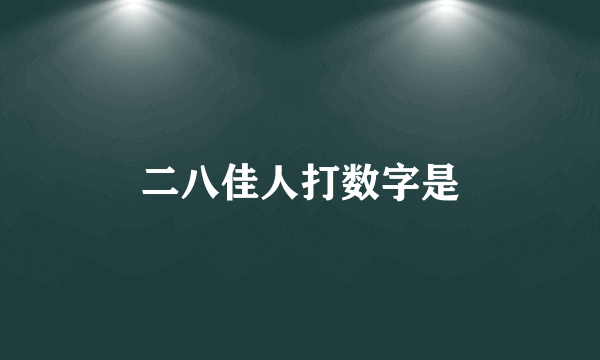 二八佳人打数字是