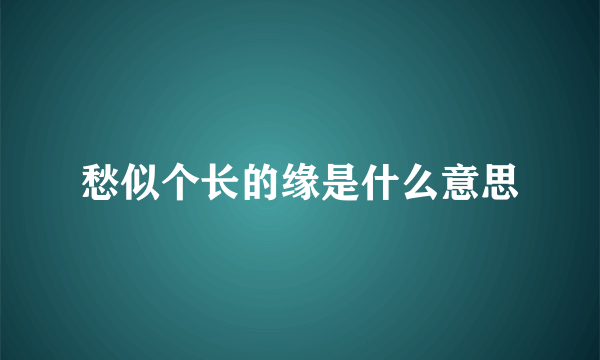 愁似个长的缘是什么意思