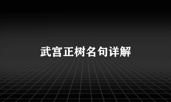 武宫正树名句详解