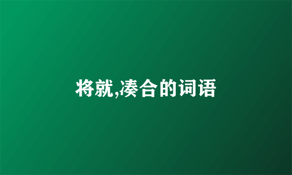 将就,凑合的词语