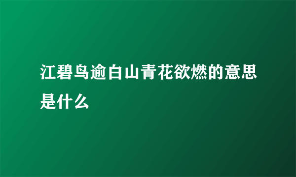 江碧鸟逾白山青花欲燃的意思是什么