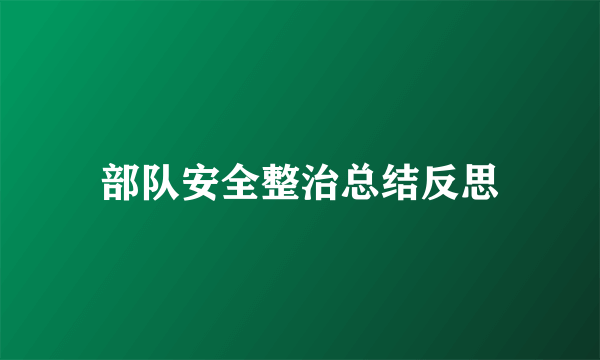 部队安全整治总结反思