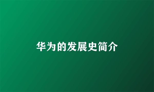 华为的发展史简介