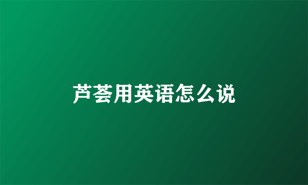 芦荟用英语怎么说