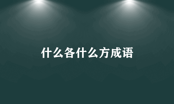 什么各什么方成语