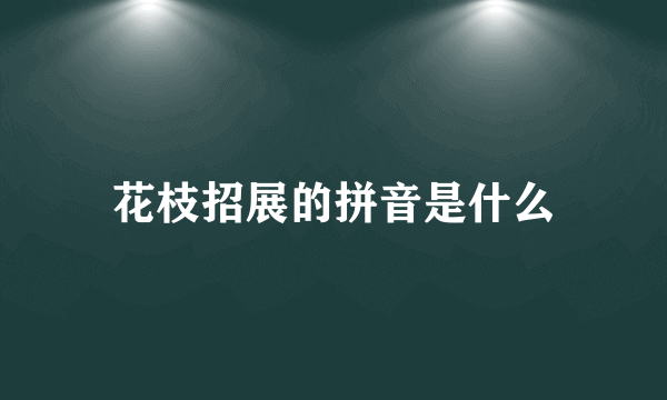 花枝招展的拼音是什么