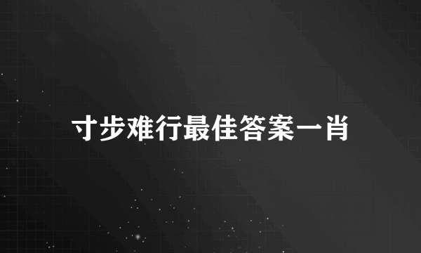 寸步难行最佳答案一肖