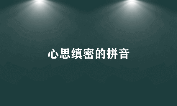 心思缜密的拼音