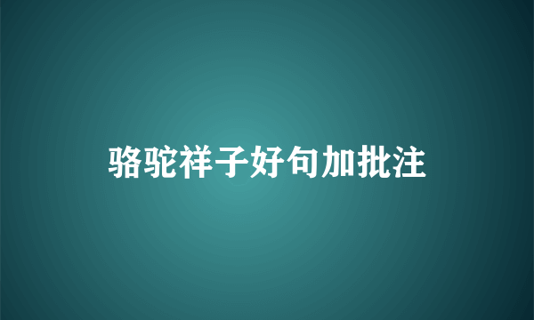 骆驼祥子好句加批注
