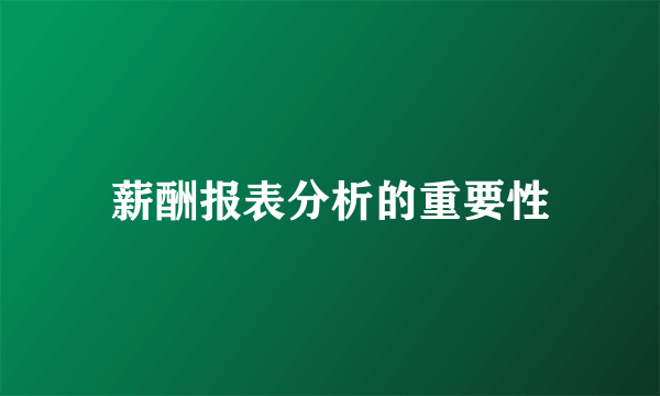薪酬报表分析的重要性