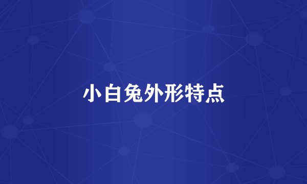 小白兔外形特点