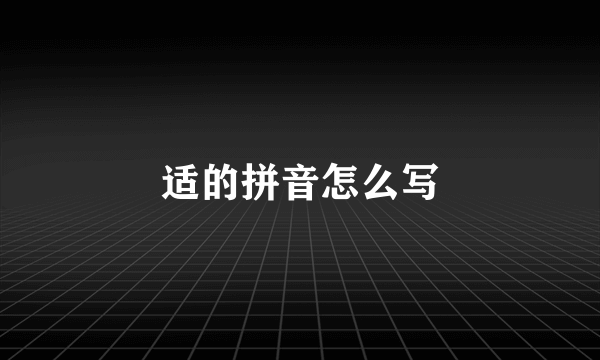 适的拼音怎么写