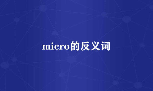 micro的反义词