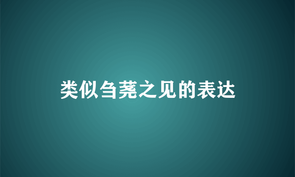 类似刍荛之见的表达
