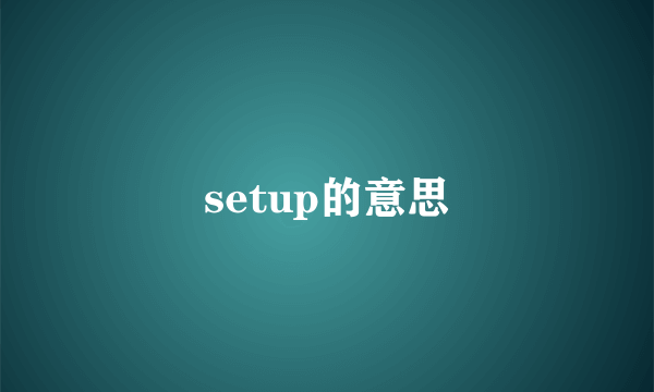 setup的意思