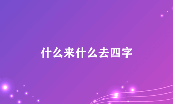 什么来什么去四字