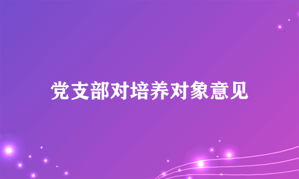 党支部对培养对象意见