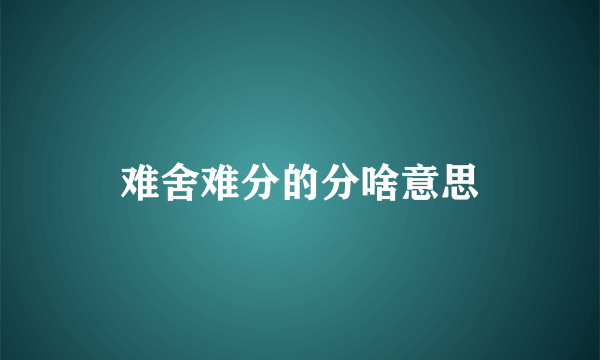 难舍难分的分啥意思