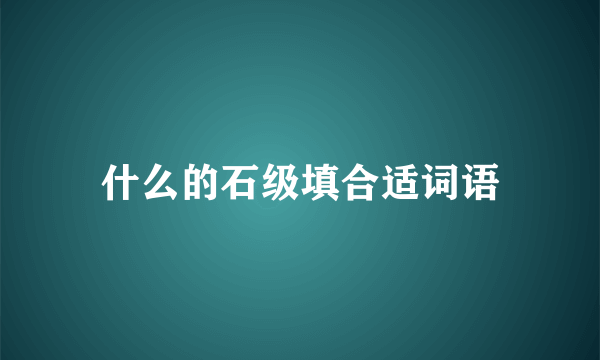 什么的石级填合适词语