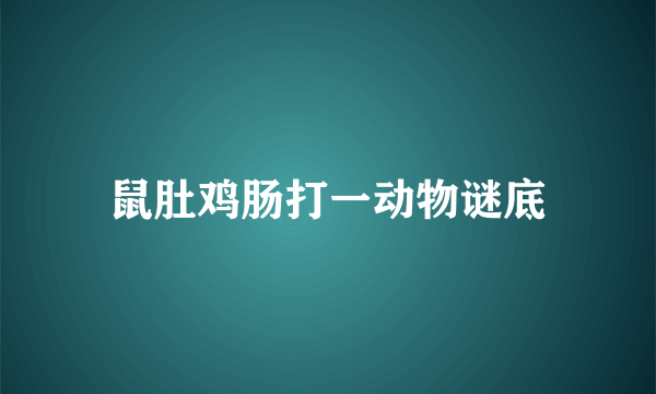 鼠肚鸡肠打一动物谜底
