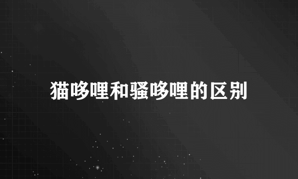 猫哆哩和骚哆哩的区别