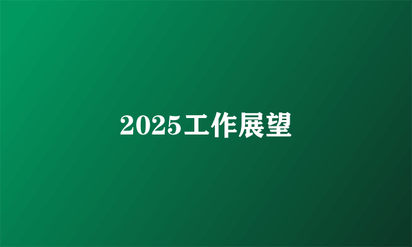 2025工作展望