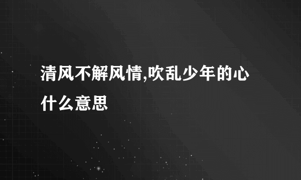 清风不解风情,吹乱少年的心 什么意思