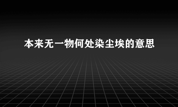 本来无一物何处染尘埃的意思