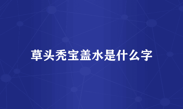 草头秃宝盖水是什么字