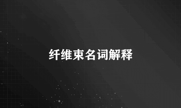 纤维束名词解释