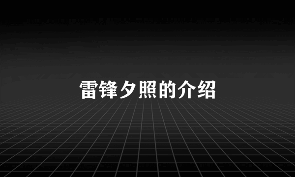 雷锋夕照的介绍