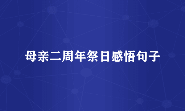 母亲二周年祭日感悟句子