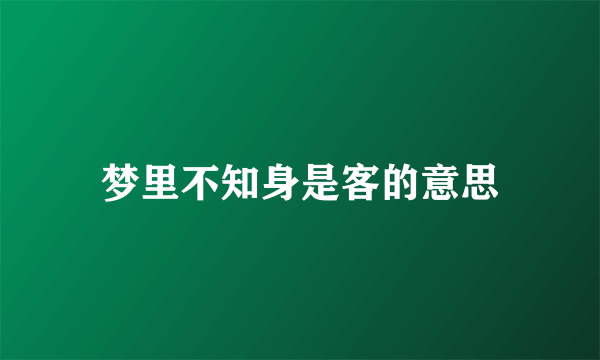 梦里不知身是客的意思