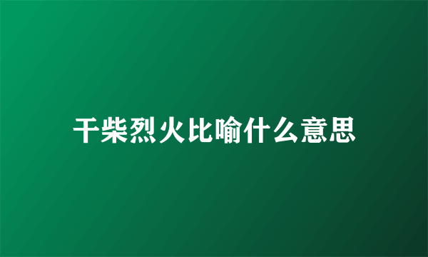 干柴烈火比喻什么意思